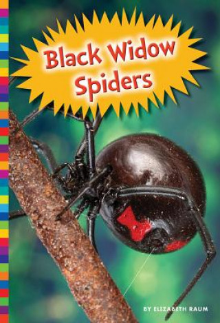 Carte Black Widow Spiders Elizabeth Raum