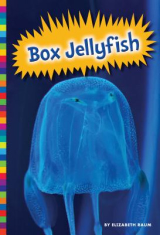 Könyv Box Jellyfish Elizabeth Raum