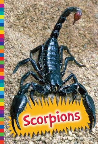 Book Scorpions Elizabeth Raum