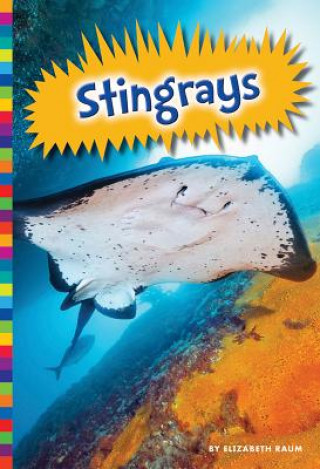 Kniha Stingrays Elizabeth Raum