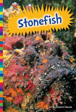 Książka Stonefish Elizabeth Raum