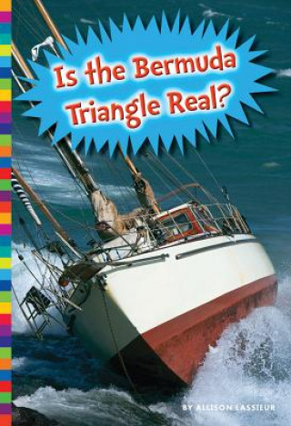 Kniha Is the Bermuda Triangle Real? Allison Lassieur