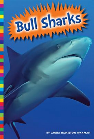 Book Bull Sharks Laura Hamilton Waxman