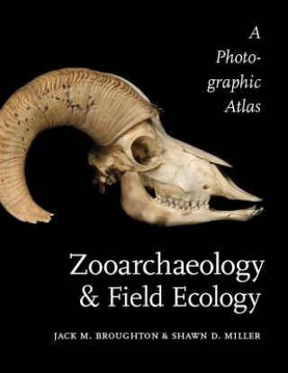 Kniha Zooarchaeology and Field Ecology Jack M. Broughton