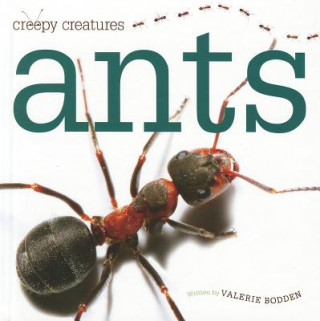 Livre Ants Valerie Bodden