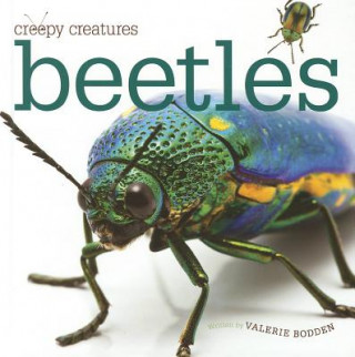 Knjiga Beetles Valerie Bodden