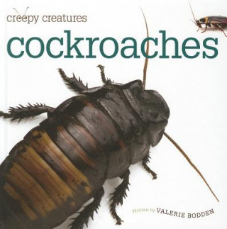 Książka Cockroaches Valerie Bodden