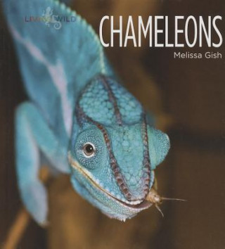 Kniha Chameleons Melissa Gish
