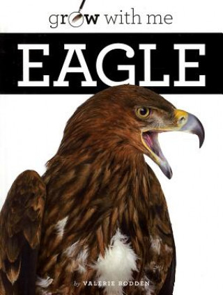 Knjiga Eagle Valerie Bodden