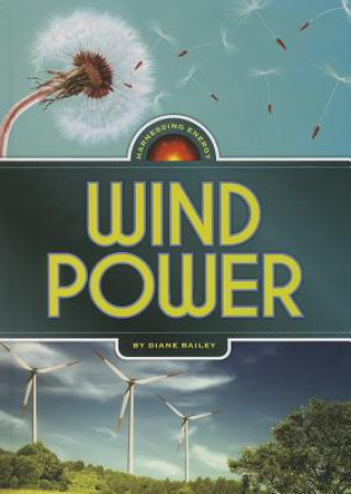 Book Wind Power Diane Bailey