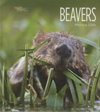 Carte Beavers Melissa Gish