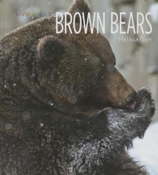 Книга Brown Bears Melissa Gish