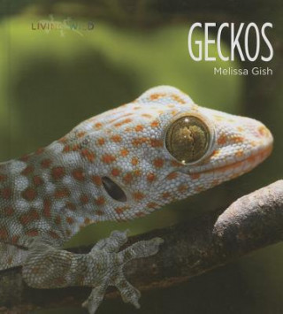 Книга Geckos Melissa Gish