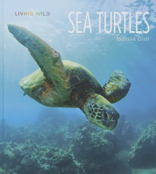 Kniha Sea Turtles Melissa Gish