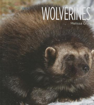 Carte Wolverines Melissa Gish