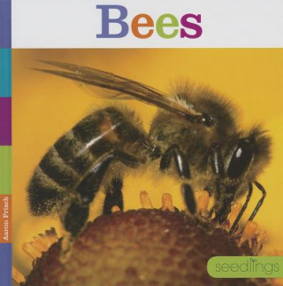 Libro Bees Aaron Frisch