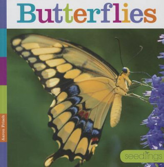 Könyv Butterflies Aaron Frisch
