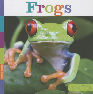 Książka Frogs Aaron Frisch