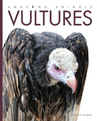 Kniha Vultures Kate Riggs
