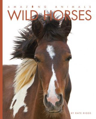 Knjiga Wild Horses Kate Riggs