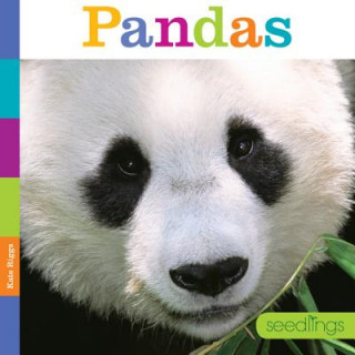 Kniha Pandas Kate Riggs