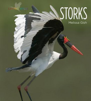 Knjiga Storks Melissa Gish