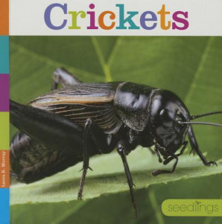 Βιβλίο Crickets Laura K. Murray