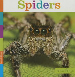 Livre Spiders Laura K. Murray