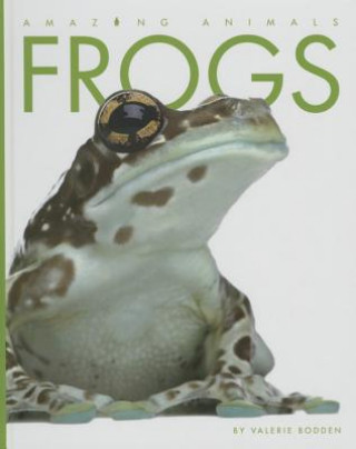 Książka Frogs Valerie Bodden