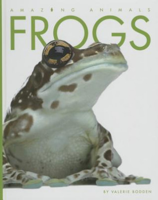 Carte Frogs Valerie Bodden