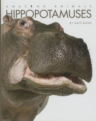 Carte Hippopotamuses Kate Riggs