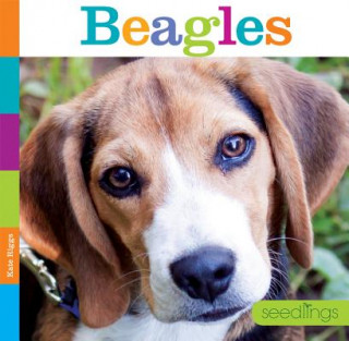 Knjiga Beagles Kate Riggs