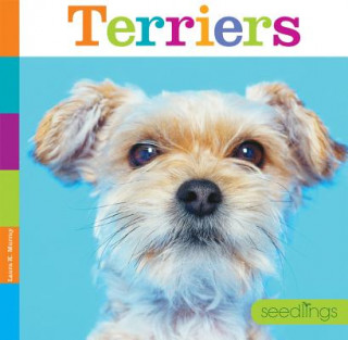 Kniha Terriers Laura K. Murray