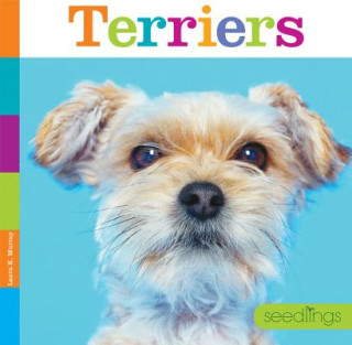 Livre Terriers Laura K. Murray