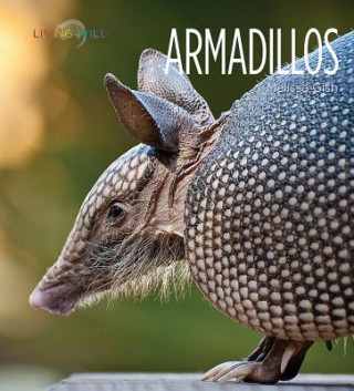 Kniha Armadillos Melissa Gish