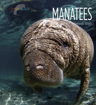 Carte Manatees Melissa Gish