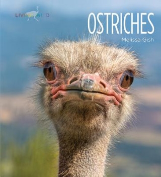 Libro Ostriches Melissa Gish
