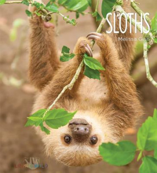 Knjiga Sloths Melissa Gish