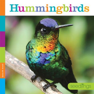 Kniha Hummingbirds Quinn M. Arnold