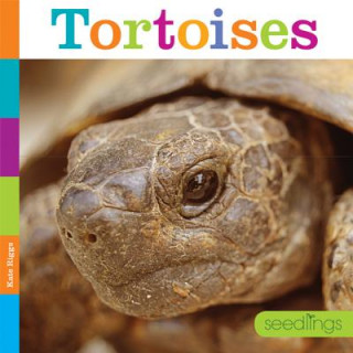 Libro Tortoises Kate Riggs