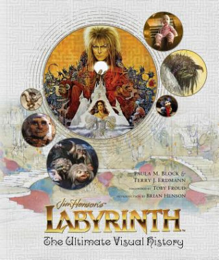 Kniha Labyrinth Paula M. Block