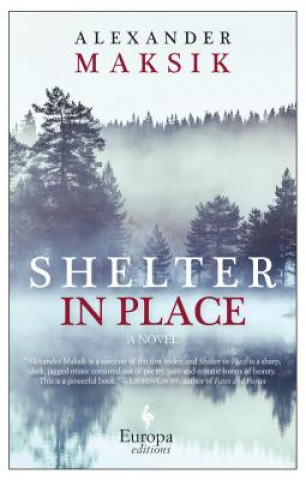 Livre Shelter in Place Alexander Maksik