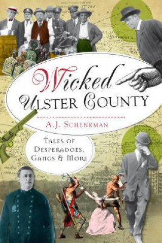 Kniha Wicked Ulster County A. J. Schenkman