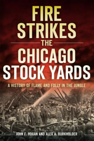Knjiga Fire Strikes the Chicago Stock Yards John F. Hogan