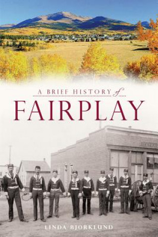 Book A Brief History of Fairplay Linda Bjorklund