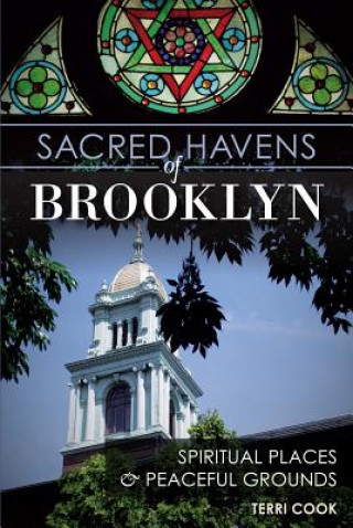 Könyv Sacred Havens of Brooklyn Terri Cook