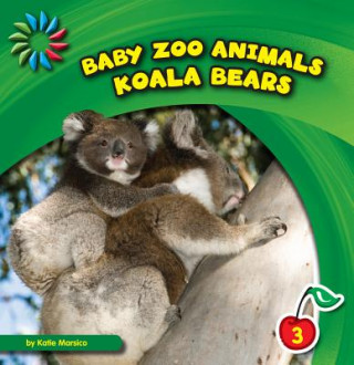 Book Koala Bears Katie Marsico