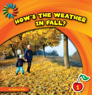 Libro How's the Weather in Fall? Rebecca Felix