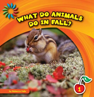 Книга What Do Animals Do in Fall? Rebecca Felix