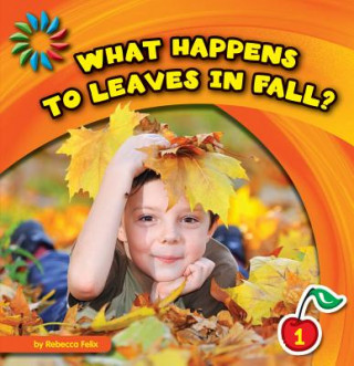 Buch What Happens To Leaves In Fall? Rebecca Felix